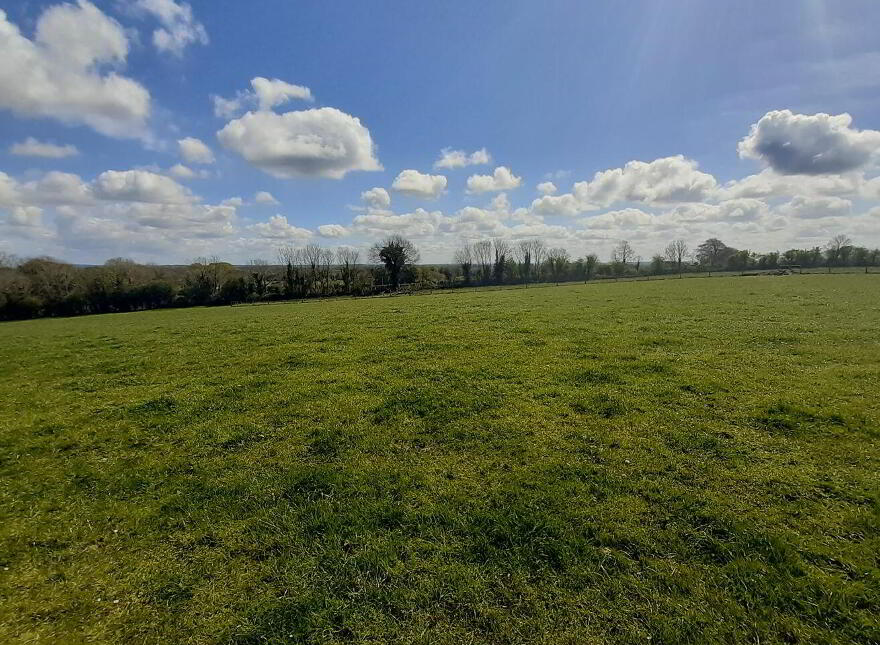 The Village, Newtowncashel, Newtowncashel