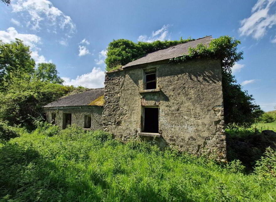 Terelicken, Ballymahon photo