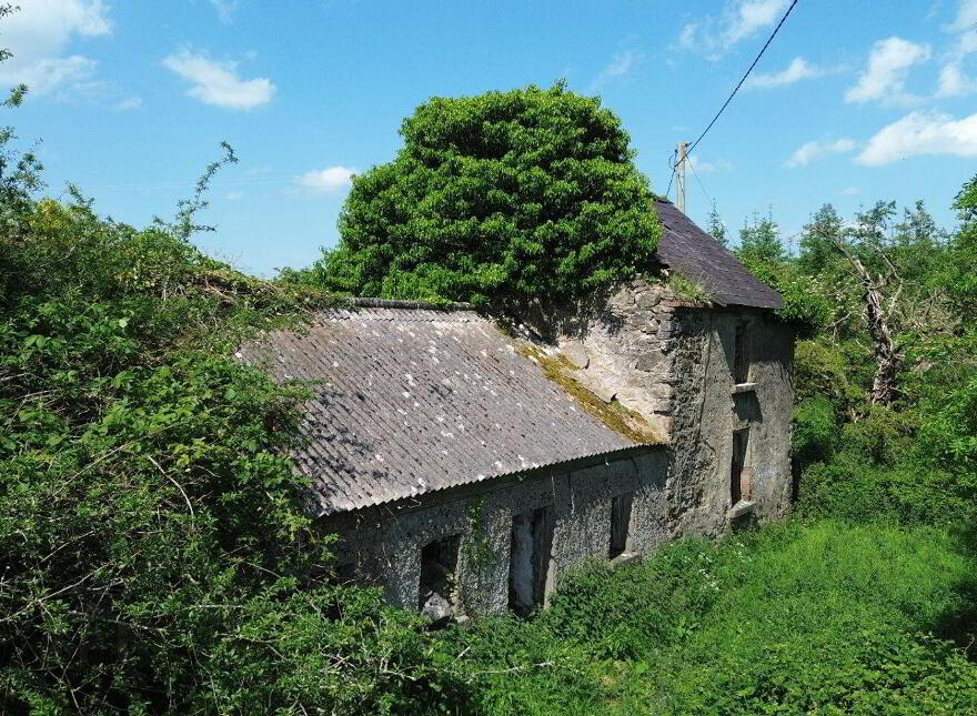 Terelicken, Ballymahon