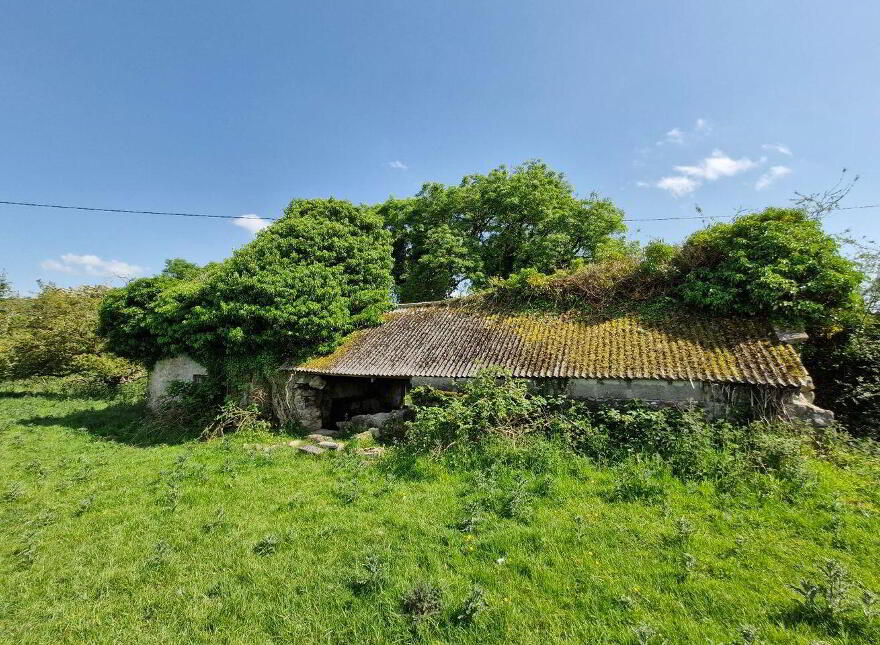 Terelicken, Ballymahon