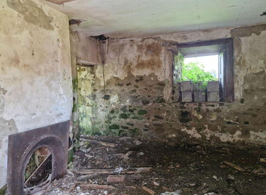 Terelicken, Ballymahon