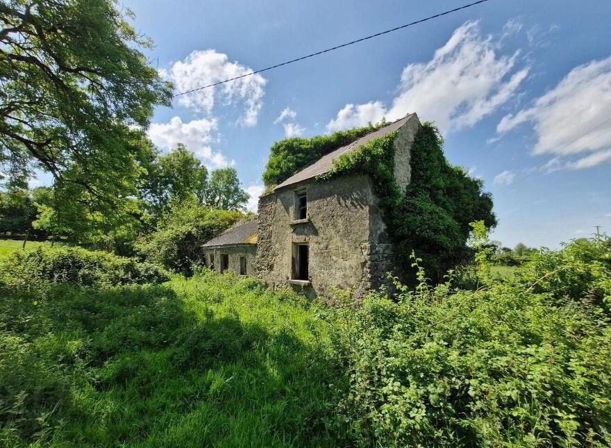 Terelicken, Ballymahon