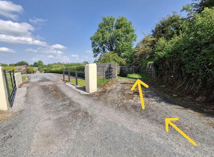 Terelicken, Ballymahon