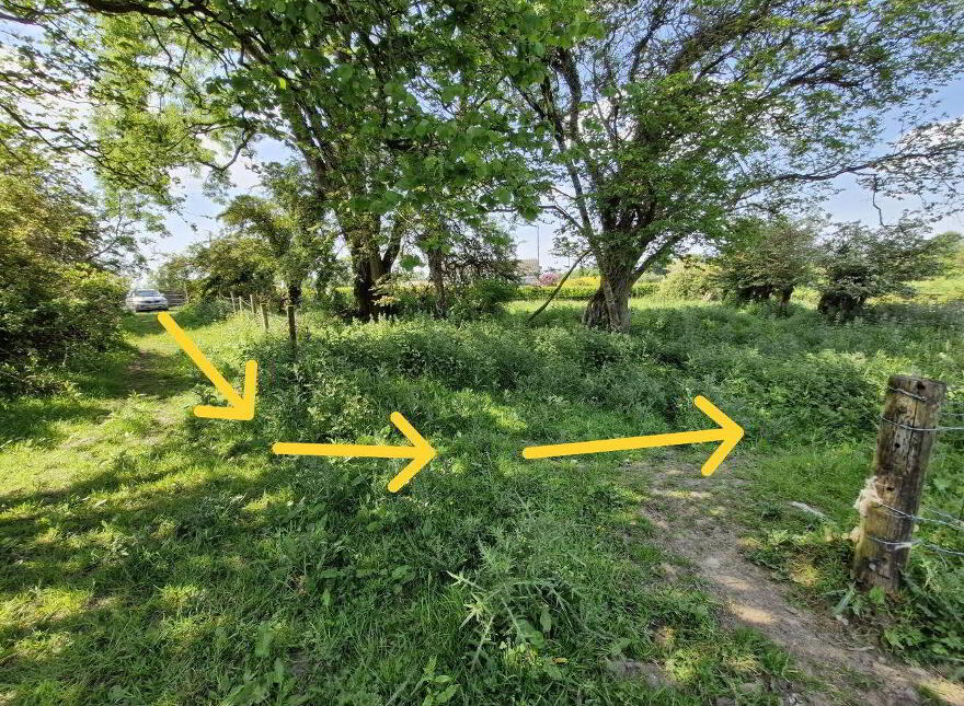 Terelicken, Ballymahon