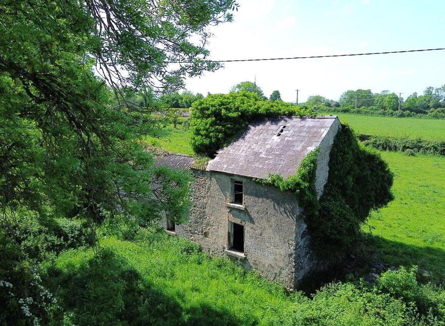Terelicken, Ballymahon