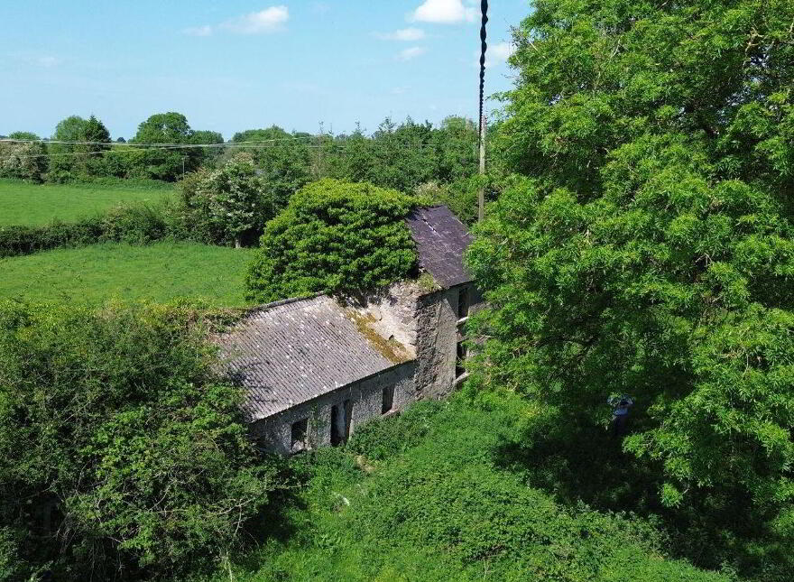 Terelicken, Ballymahon