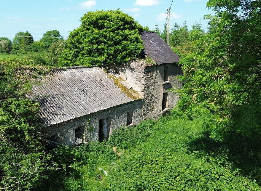 Terelicken, Ballymahon