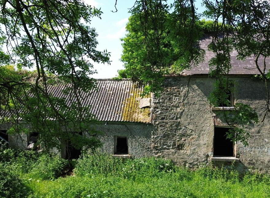 Terelicken, Ballymahon