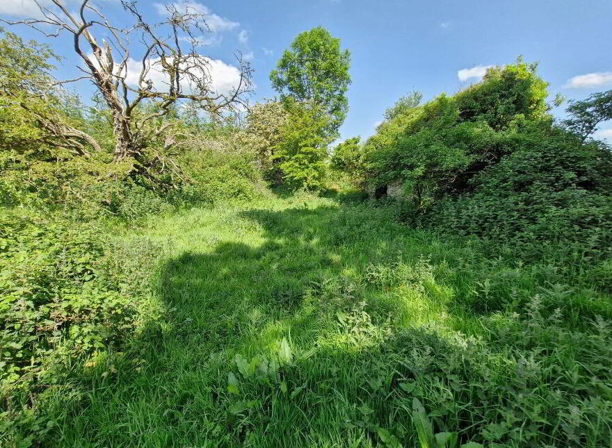 Terelicken, Ballymahon