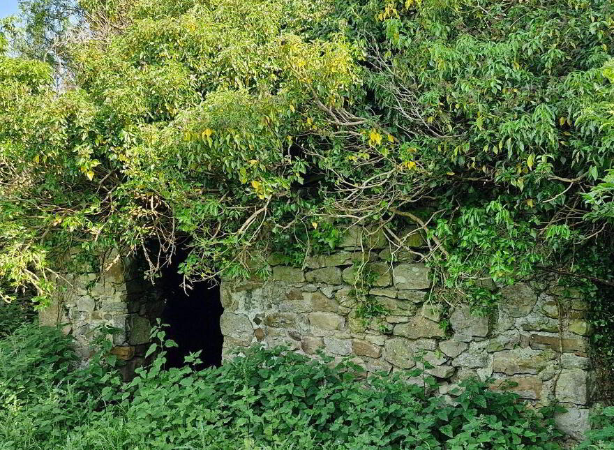Terelicken, Ballymahon