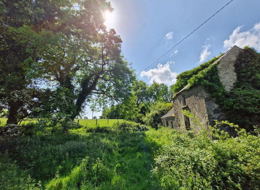 Terelicken, Ballymahon