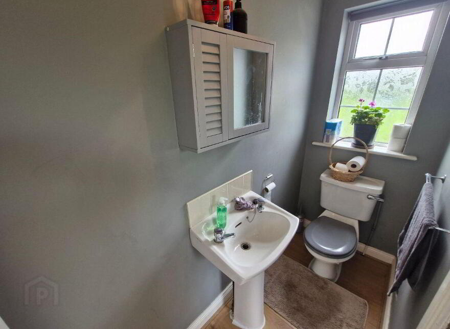 Derryhaunmore, Keenagh, N39E952