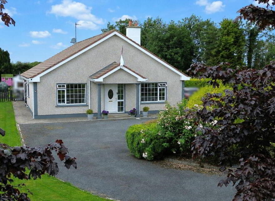 Derryhaunmore, Keenagh, N39E952 photo