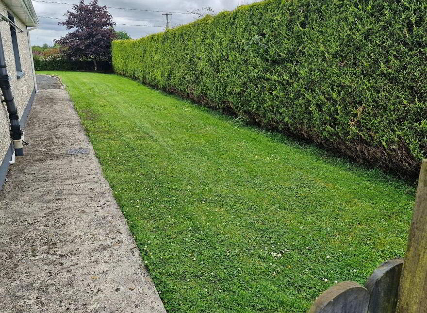 Derryhaunmore, Keenagh, N39E952