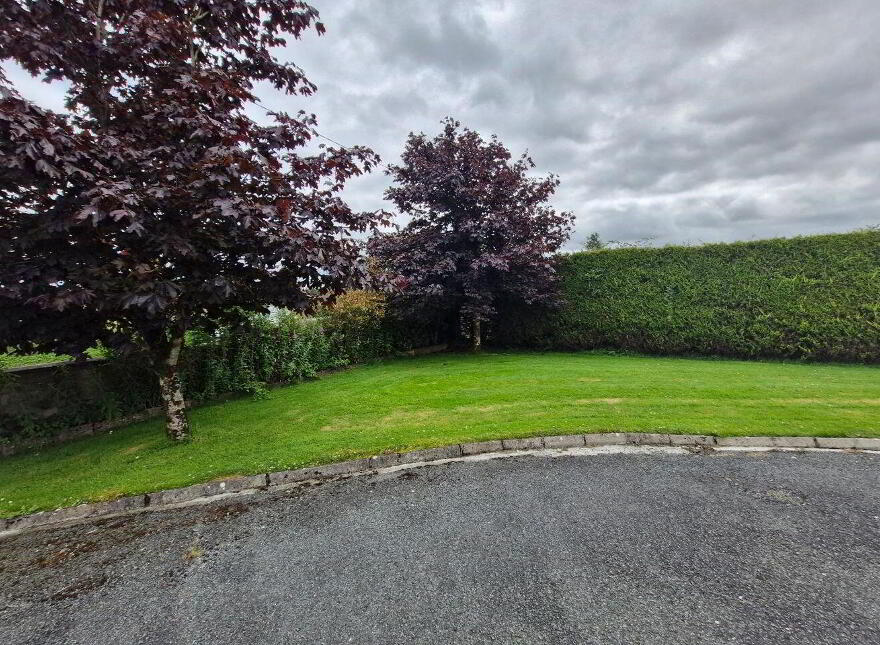 Derryhaunmore, Keenagh, N39E952