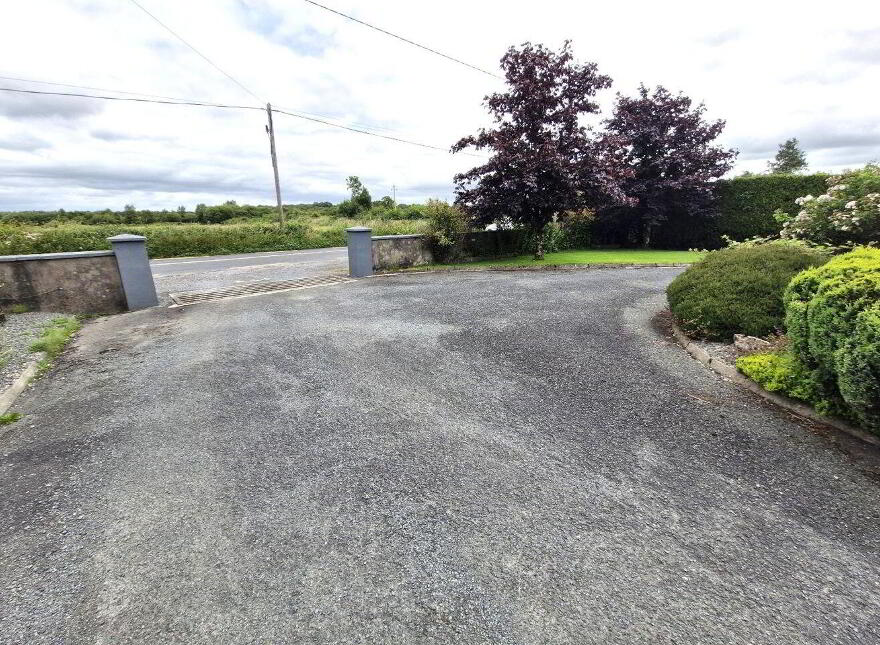 Derryhaunmore, Keenagh, N39E952