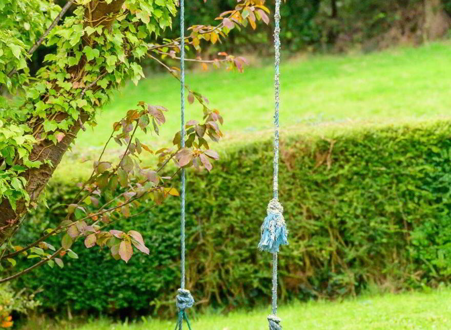 Mount Ruby, Navigation Road, Mallow, P51D6NE