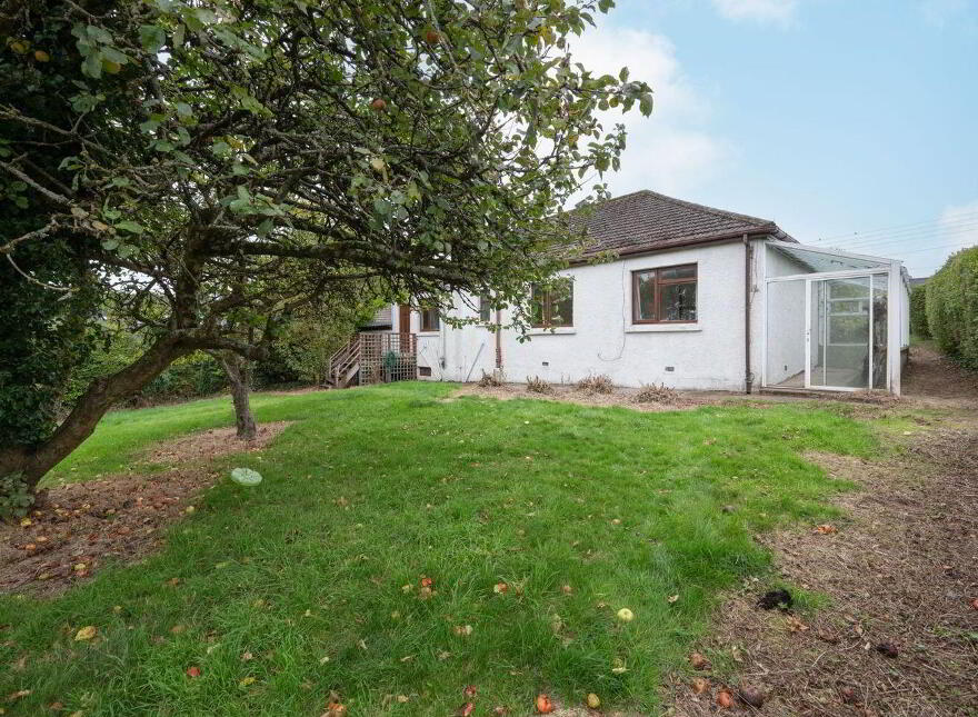 Pafuri, 34 Curraheen Road, Bishopstown, T12X2F7