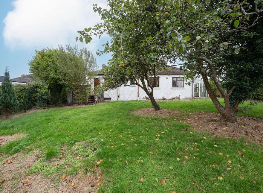 Pafuri, 34 Curraheen Road, Bishopstown, T12X2F7