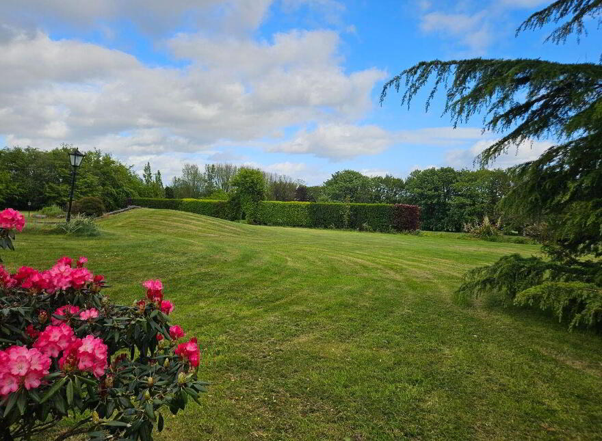 Facefield, Ballynamaul, Riverstick, P43YH51