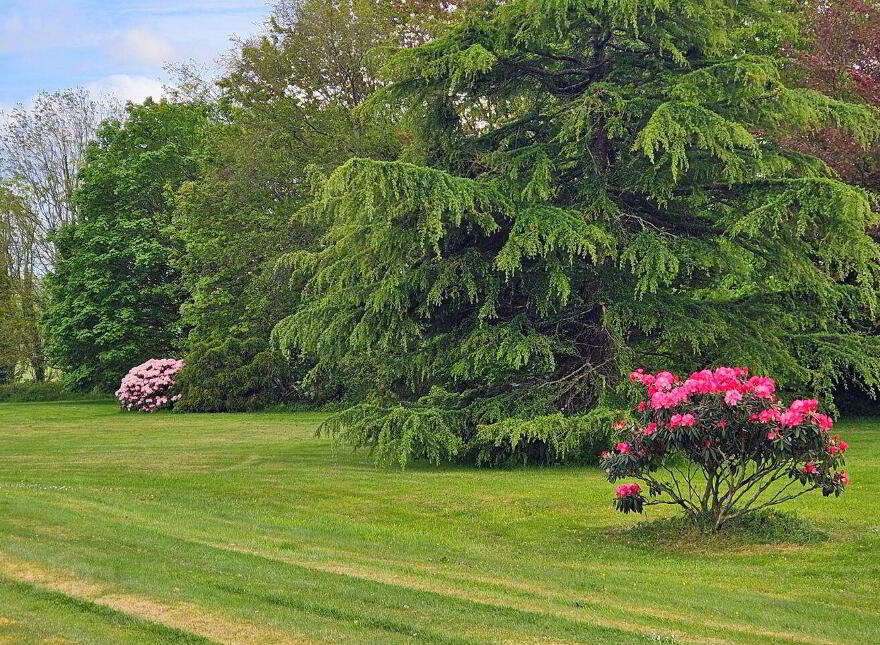 Facefield, Ballynamaul, Riverstick, P43YH51