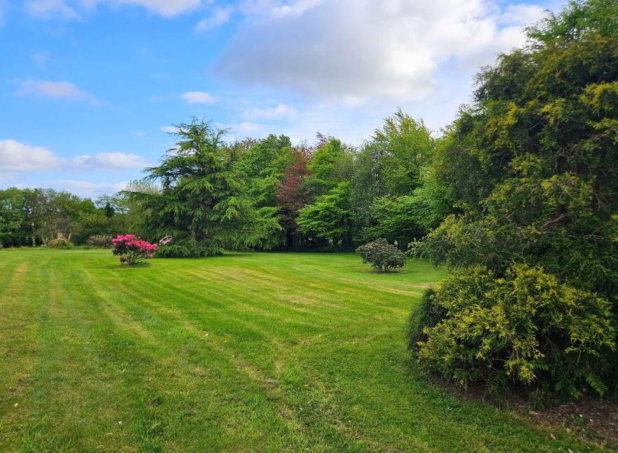 Facefield, Ballynamaul, Riverstick, P43YH51