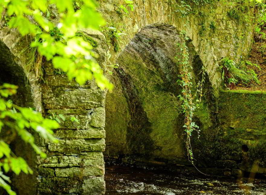 Inverbrinny, Skevanish, Innishannon, T12N22N