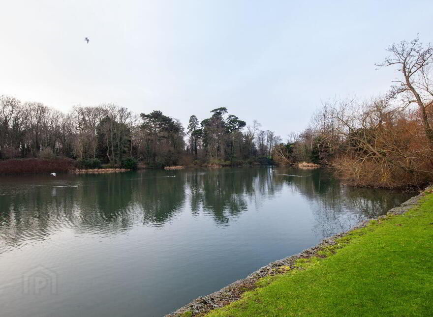 Geraldstown Woods, Santry