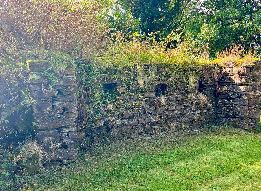 Cousane, Kealkill, P75E791