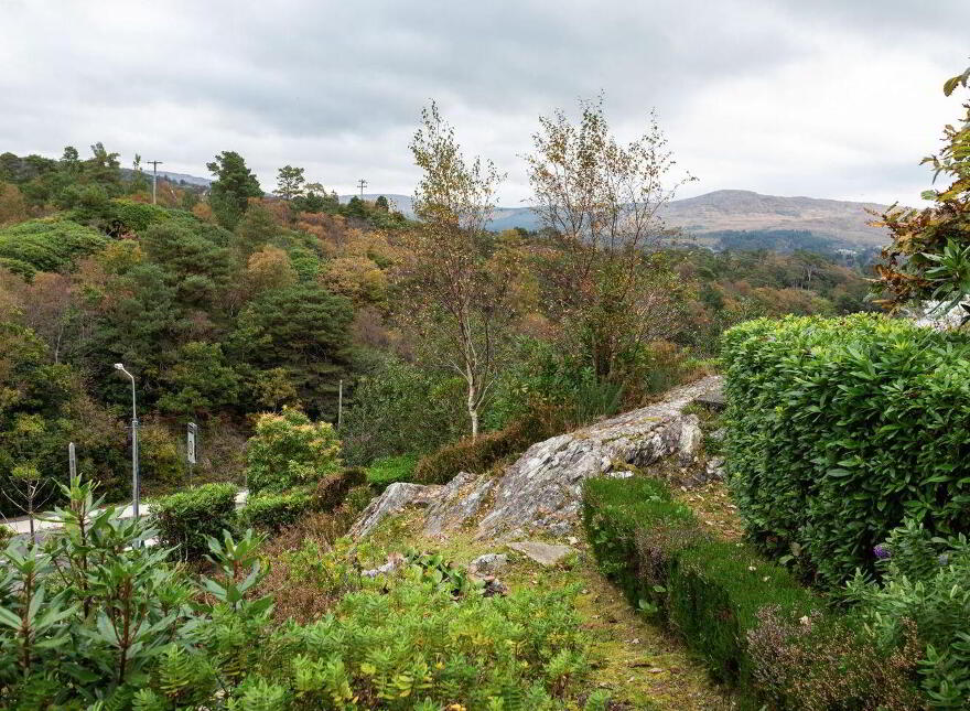 Shrone, Glengarriff, P75CY50