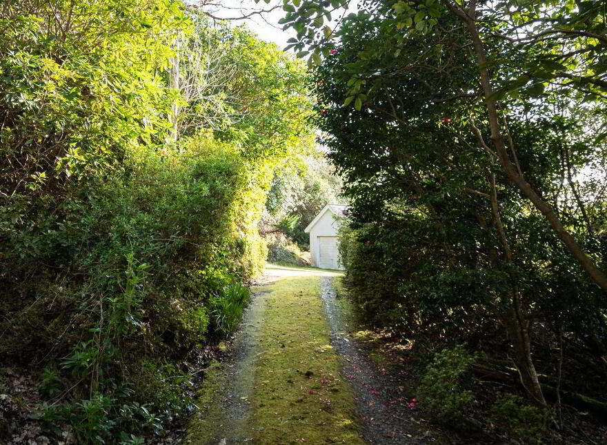 Gleann Oísín, Dromgarriff, Glengarriff, P75DE26