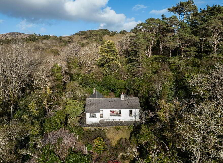 Gleann Oísín, Dromgarriff, Glengarriff, P75DE26