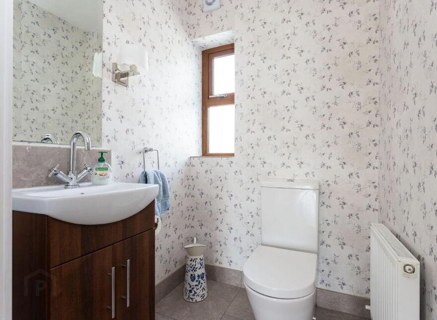 Skahanagh Beg, Bantry, P75AH34
