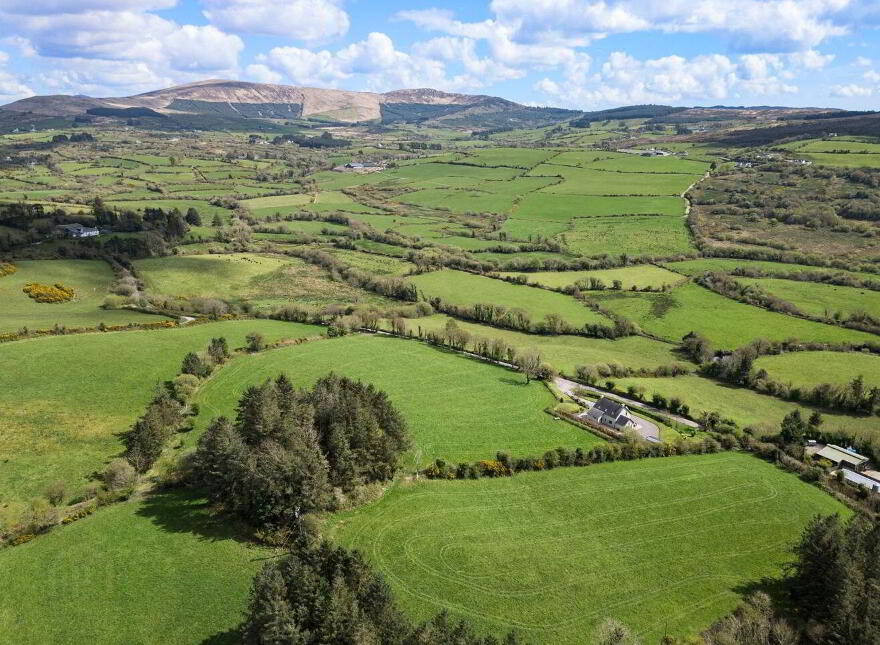 Skahanagh Beg, Bantry, P75AH34