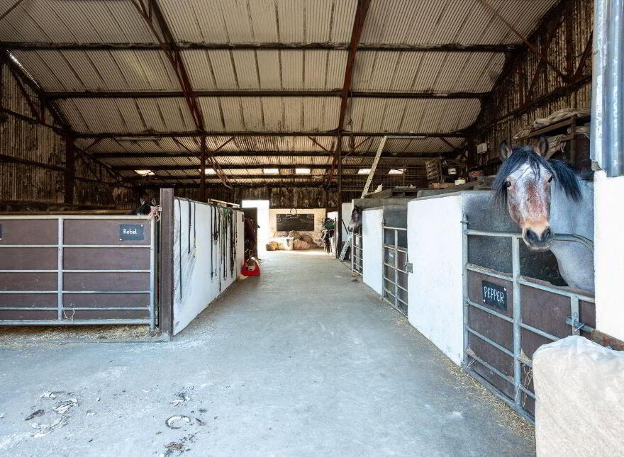 Hollyhill, Bantry, P75H019