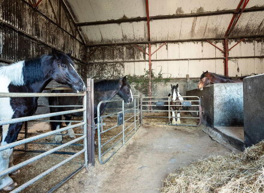 Hollyhill, Bantry, P75H019