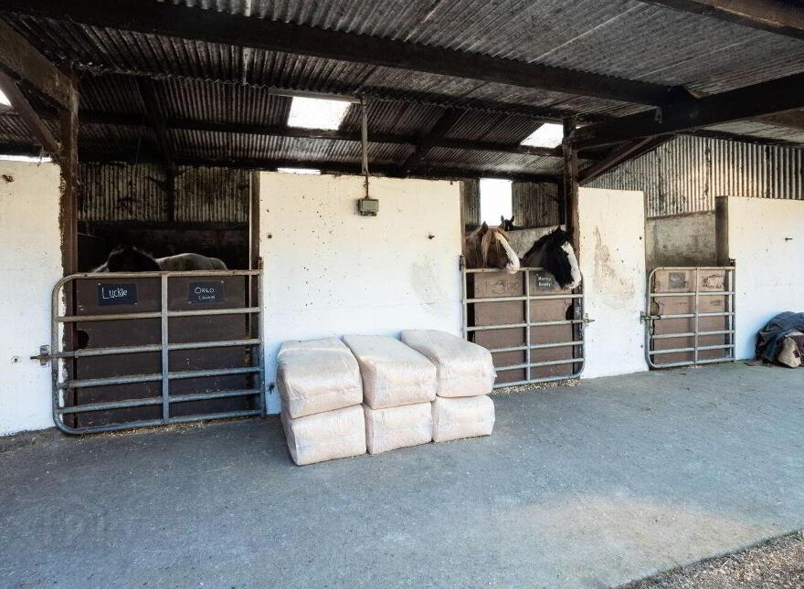 Hollyhill, Bantry, P75H019