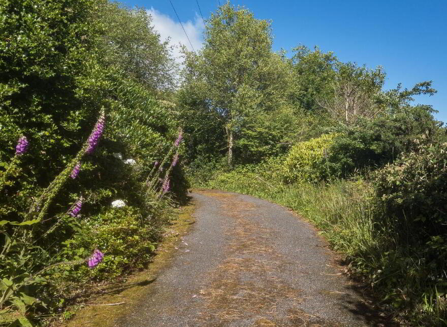 Faha East, Adrigole, Adrigole, P75XK63