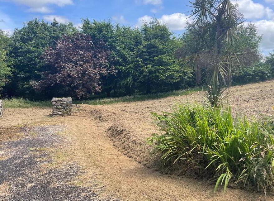 Derreengreanagh South, Bantry, Bantry, P75RD68