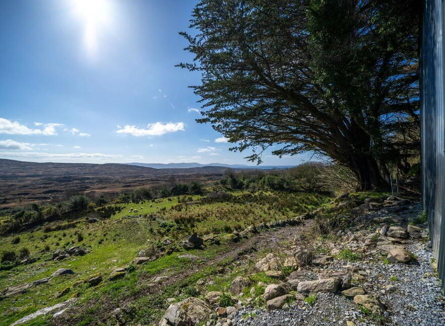 Tooreennagrena, Adrigole, P75EF99