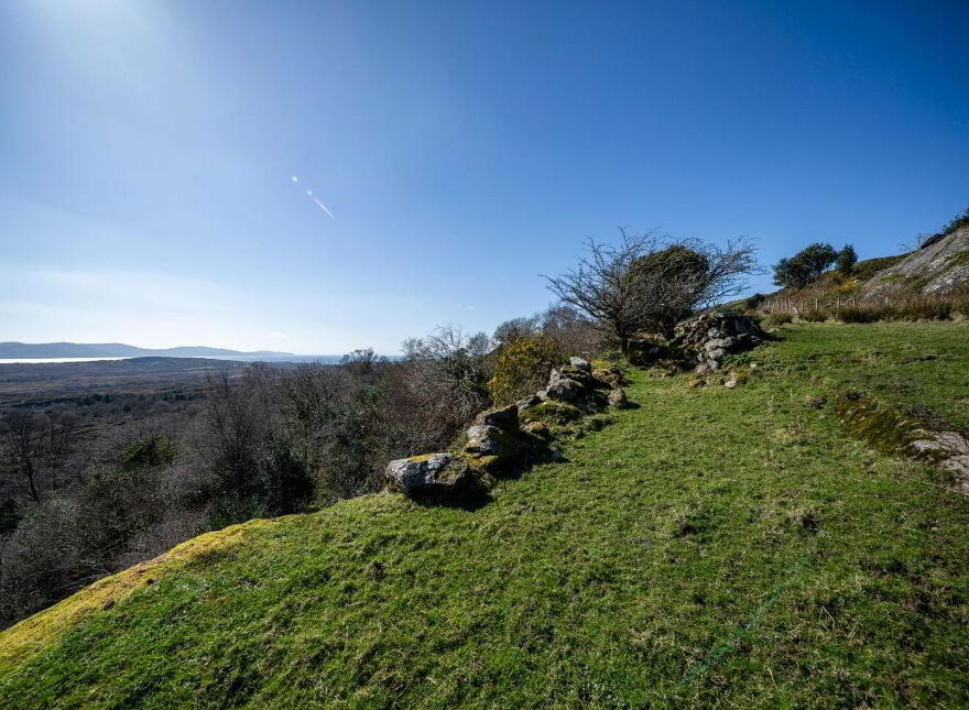 Tooreennagrena, Adrigole, P75EF99