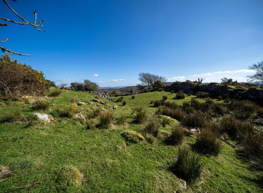 Tooreennagrena, Adrigole, P75EF99