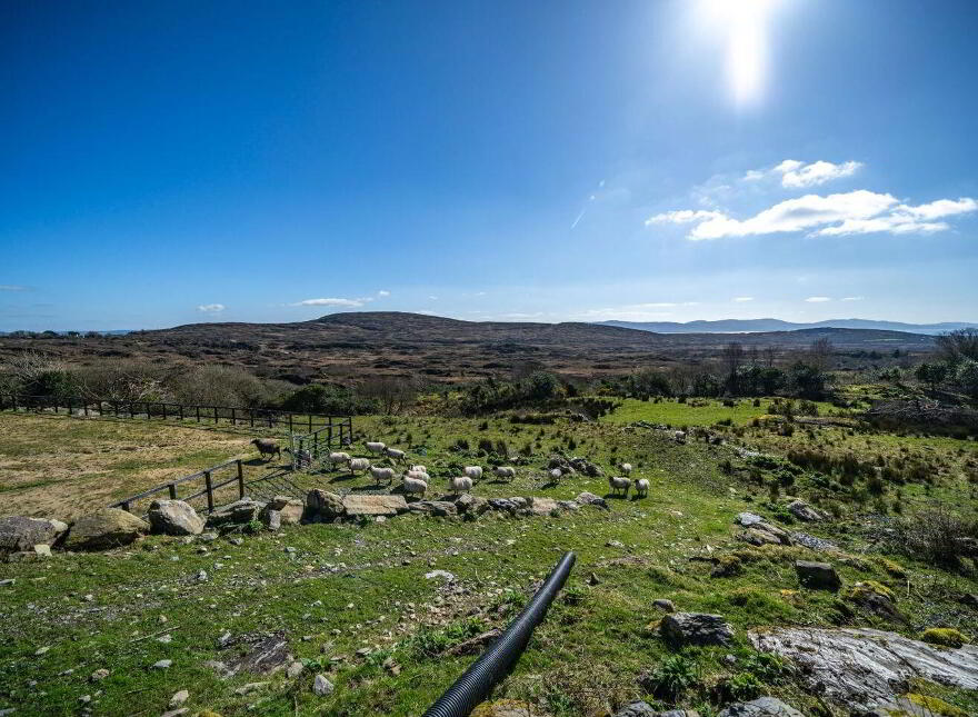Tooreennagrena, Adrigole, P75EF99