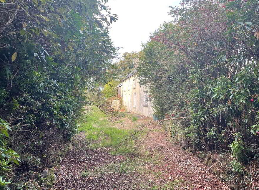 Curragh East, Adrigole, Adrigole, P75PR92