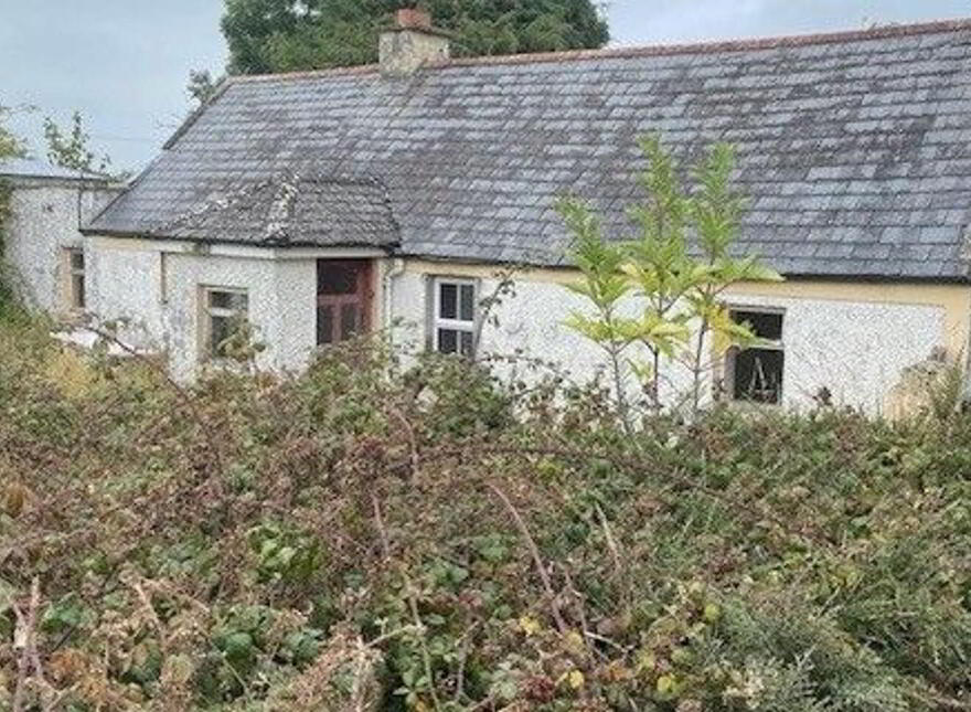 Moycarky, Thurles, Horse And Jockey, E41R208