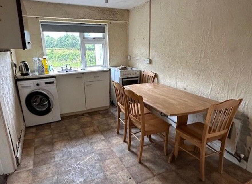 Lanespark, Ballynonty, Thurles, E41R984