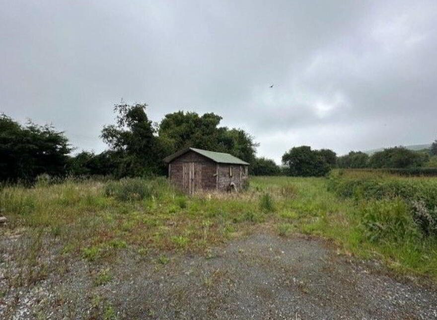 Lanespark, Ballynonty, Thurles, E41R984