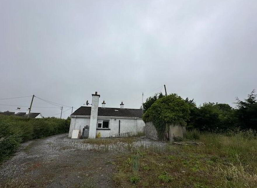 Lanespark, Ballynonty, Thurles, E41R984