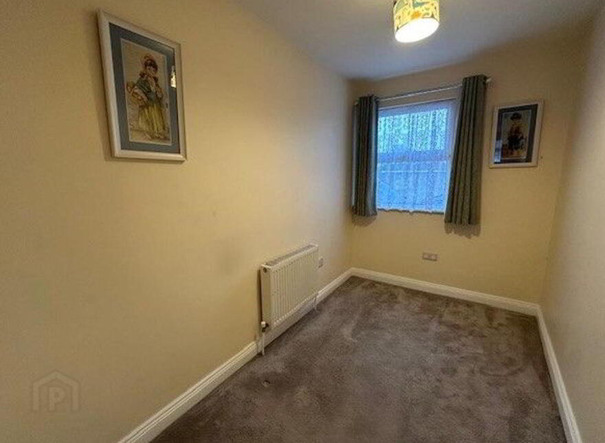 1 Stradavoher, Thurles, E41VE43