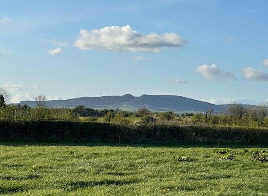 Lisheenataggart, Loughmore, Templemore, E41DP44